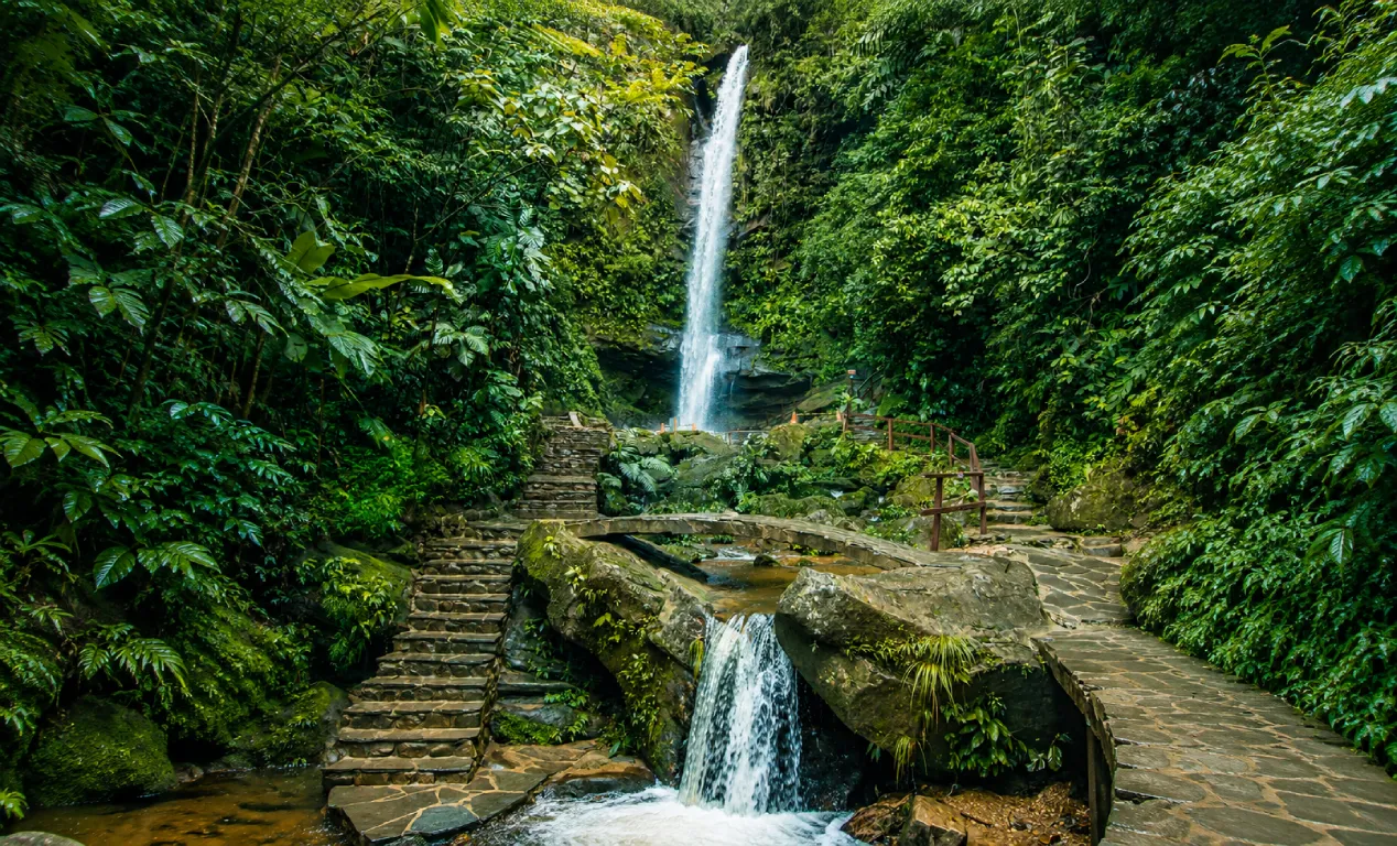 ¿Cómo llegar a las Cataratas de Ahuashiyacu en Tarapoto y qué hacer una vez que estés ahí?