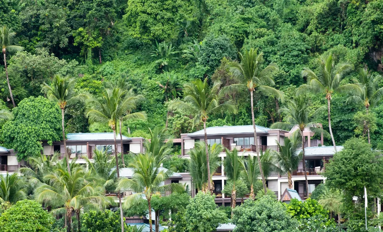 las-mejores-precios-y-ofertas-en-tarapoto