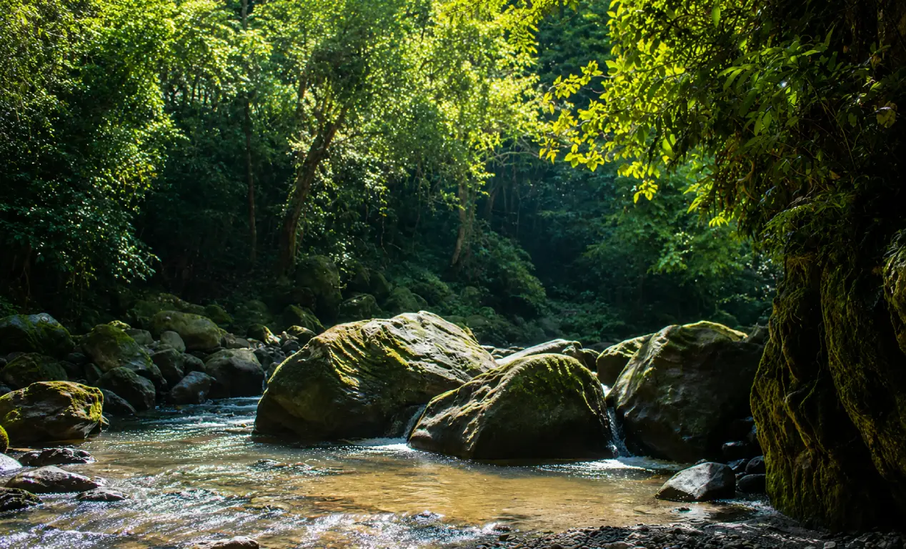 ¿Qué hacer en Tarapoto en 4 días para no dejar nada importante fuera?