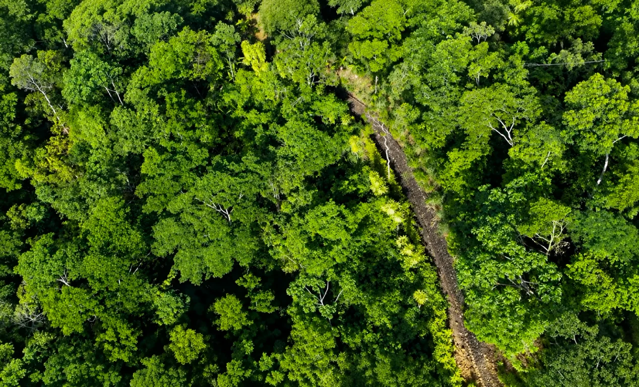 Viajar a Tarapoto en Octubre | Razones e Itinerarios